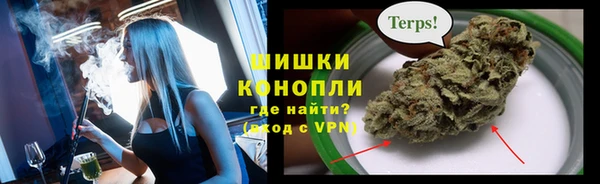 гашик Зерноград