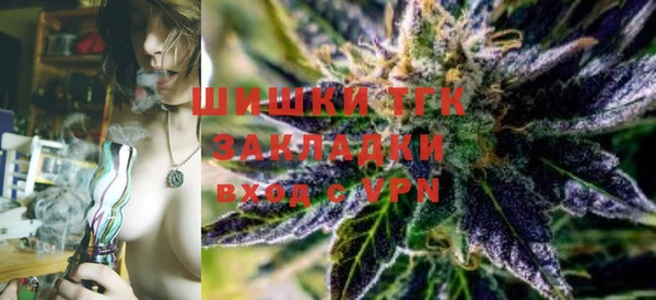 гашик Зерноград