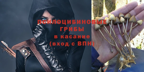 молекула духа Заволжье