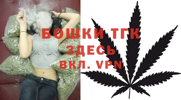 молекула духа Заволжье